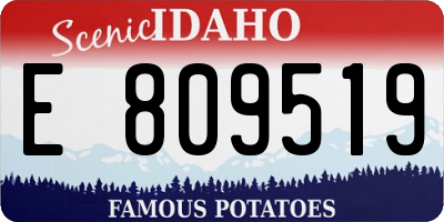 ID license plate E809519