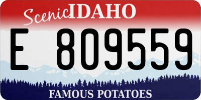 ID license plate E809559