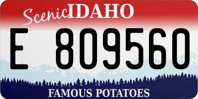 ID license plate E809560