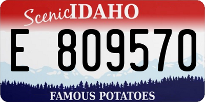 ID license plate E809570