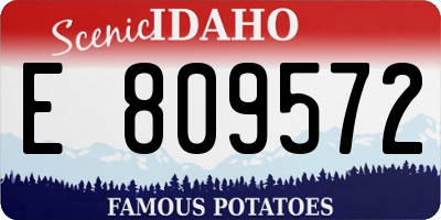 ID license plate E809572