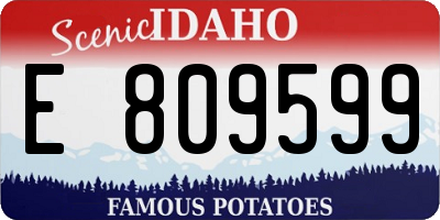 ID license plate E809599