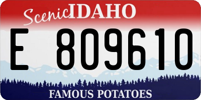 ID license plate E809610