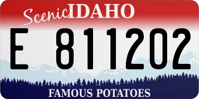 ID license plate E811202