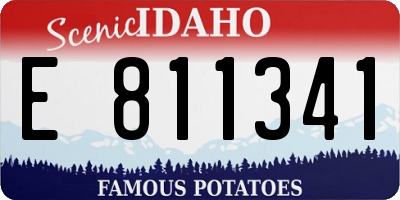 ID license plate E811341