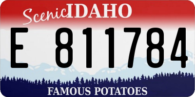 ID license plate E811784