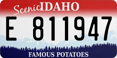 ID license plate E811947