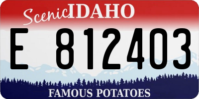 ID license plate E812403
