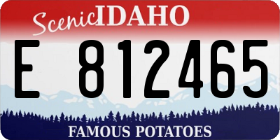 ID license plate E812465