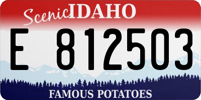 ID license plate E812503