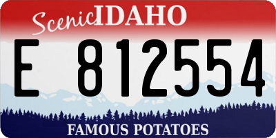 ID license plate E812554