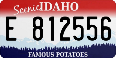 ID license plate E812556