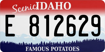 ID license plate E812629