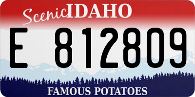 ID license plate E812809
