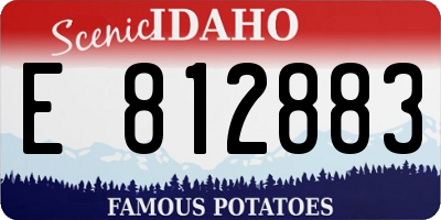 ID license plate E812883