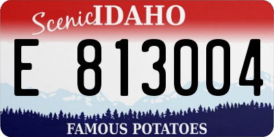 ID license plate E813004