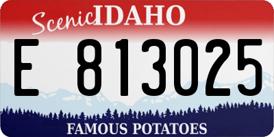 ID license plate E813025