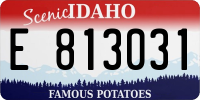ID license plate E813031