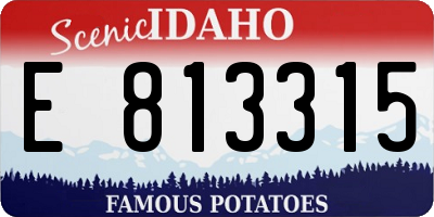 ID license plate E813315