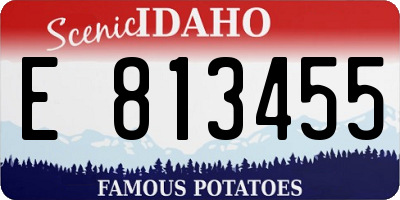 ID license plate E813455