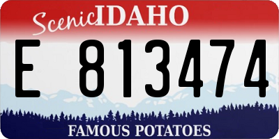 ID license plate E813474