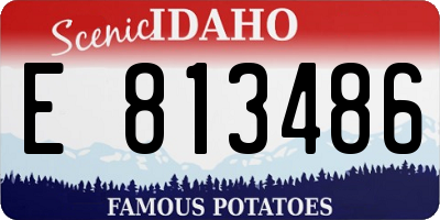 ID license plate E813486