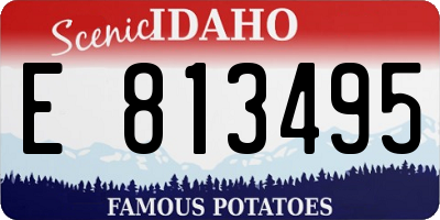 ID license plate E813495
