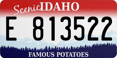 ID license plate E813522