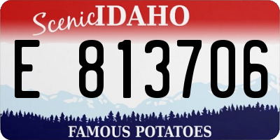 ID license plate E813706