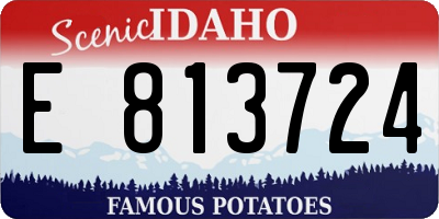 ID license plate E813724