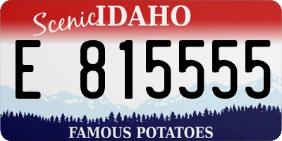 ID license plate E815555