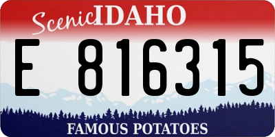 ID license plate E816315