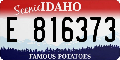 ID license plate E816373