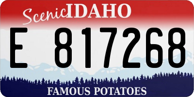 ID license plate E817268