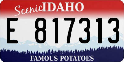 ID license plate E817313