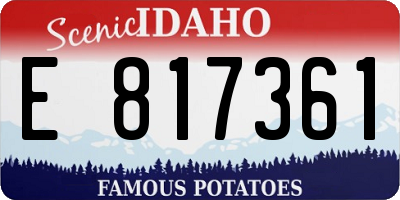 ID license plate E817361