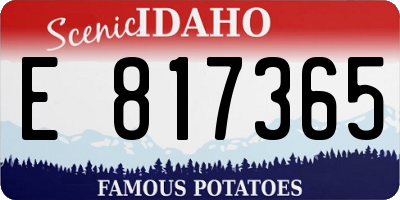 ID license plate E817365