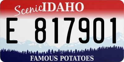 ID license plate E817901
