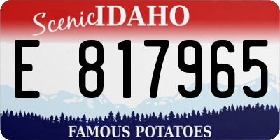 ID license plate E817965