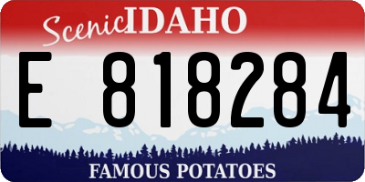 ID license plate E818284