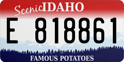 ID license plate E818861
