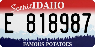 ID license plate E818987