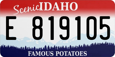 ID license plate E819105