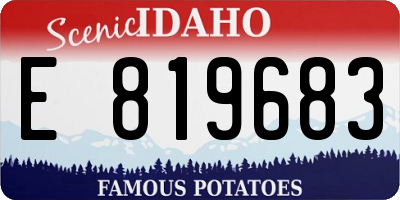 ID license plate E819683