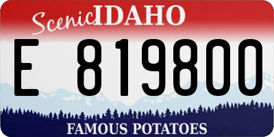 ID license plate E819800