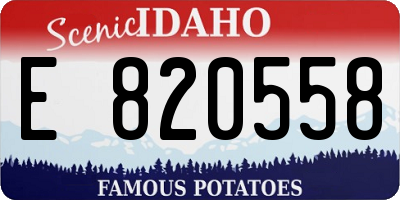 ID license plate E820558