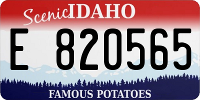 ID license plate E820565