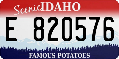 ID license plate E820576