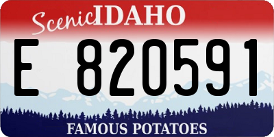 ID license plate E820591