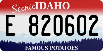 ID license plate E820602